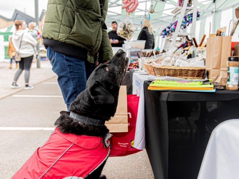 Grab a bargain at Makers Market  